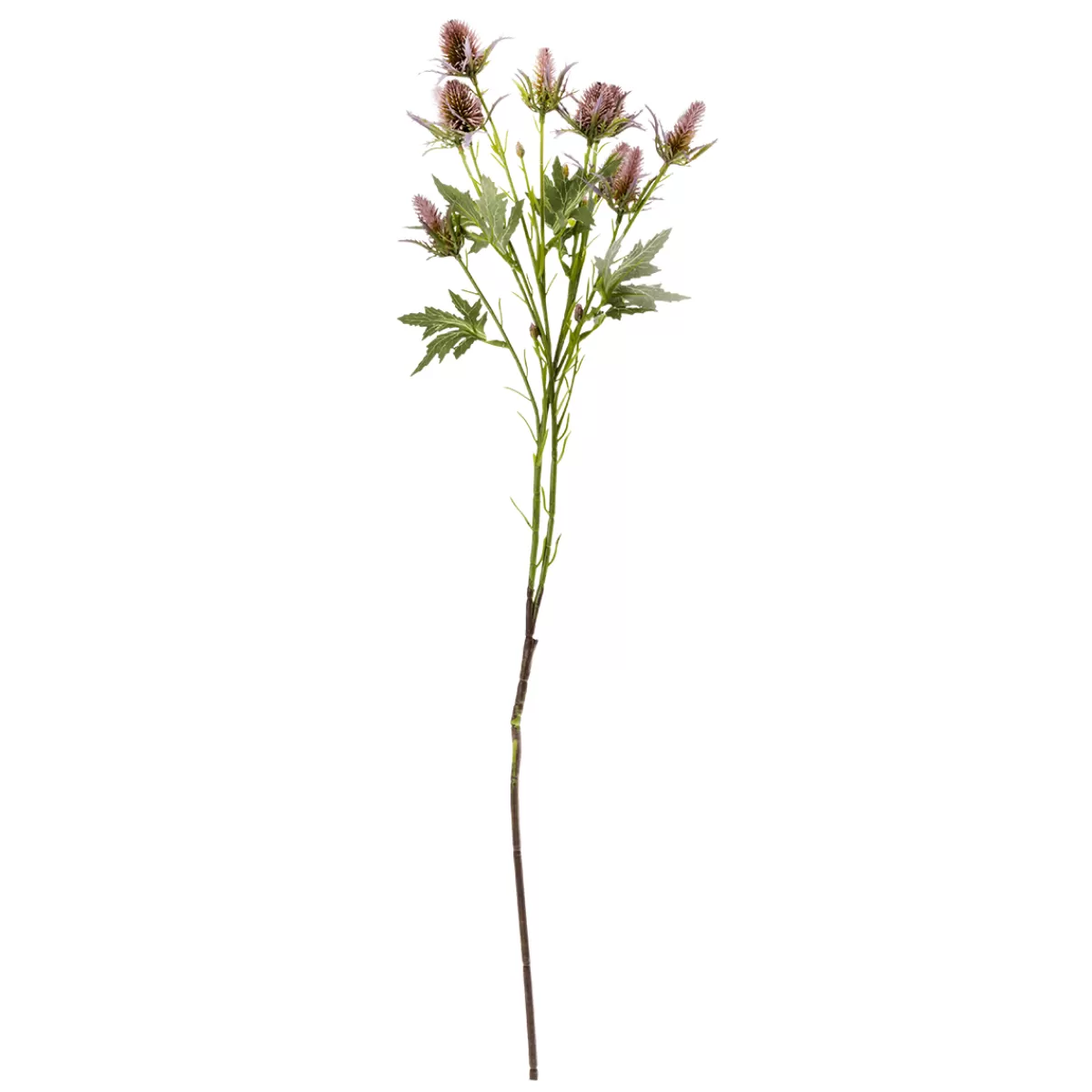 Sale DecoWoerner Kunstblume Distel Lila, 68 Cm violett