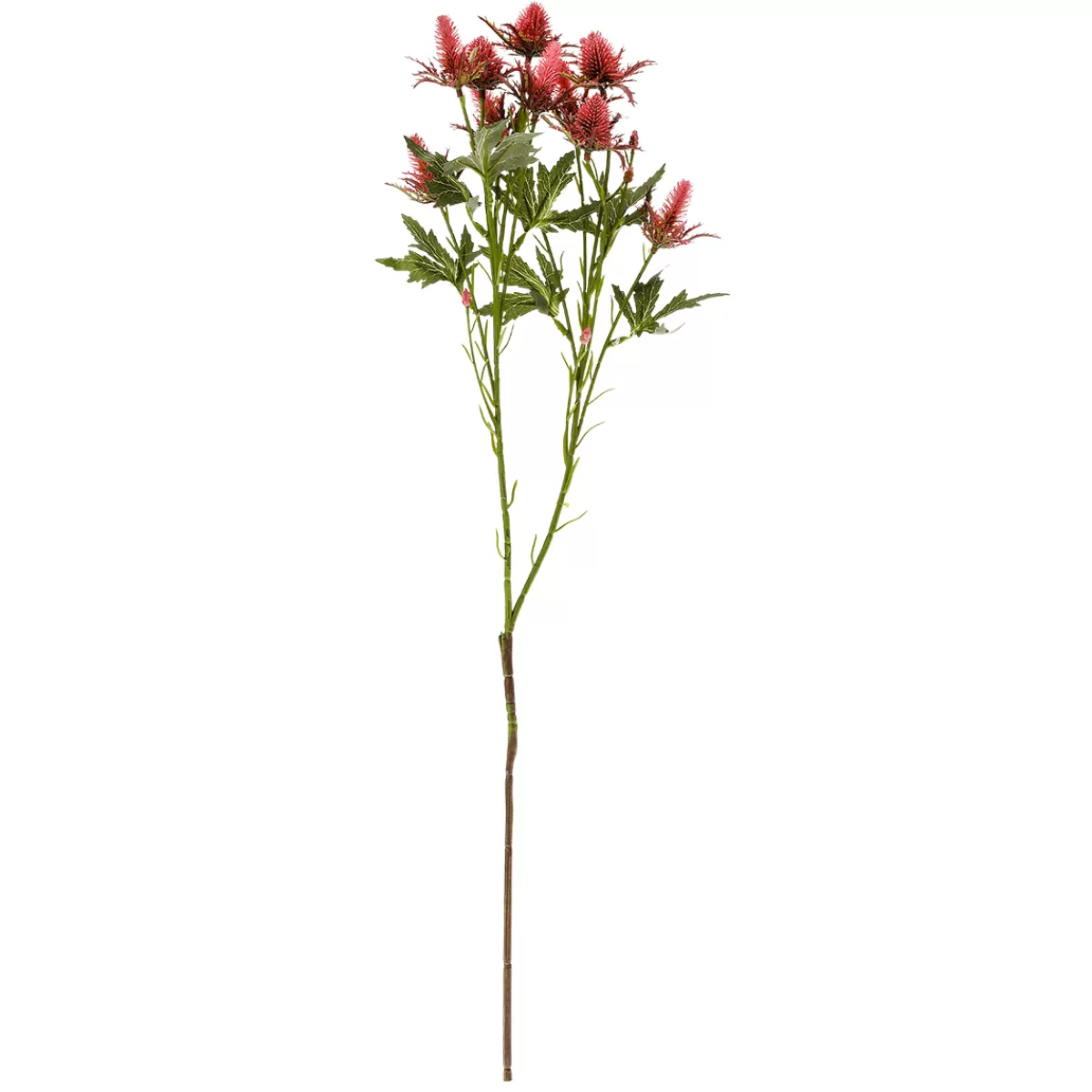 Cheap DecoWoerner Kunstblume Distel , 68 Cm rot