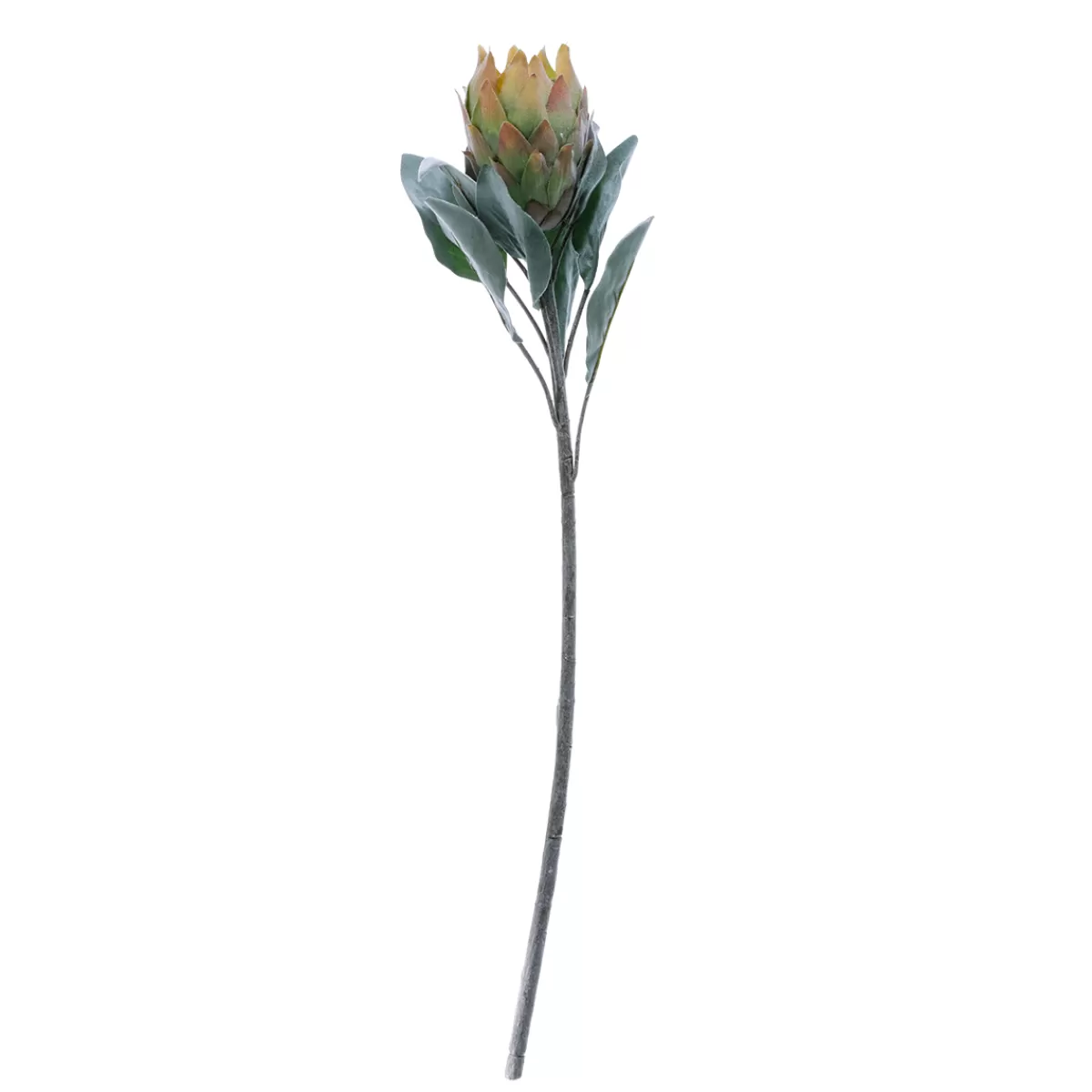 Discount DecoWoerner Kunstblume Protea, 72 Cm grün