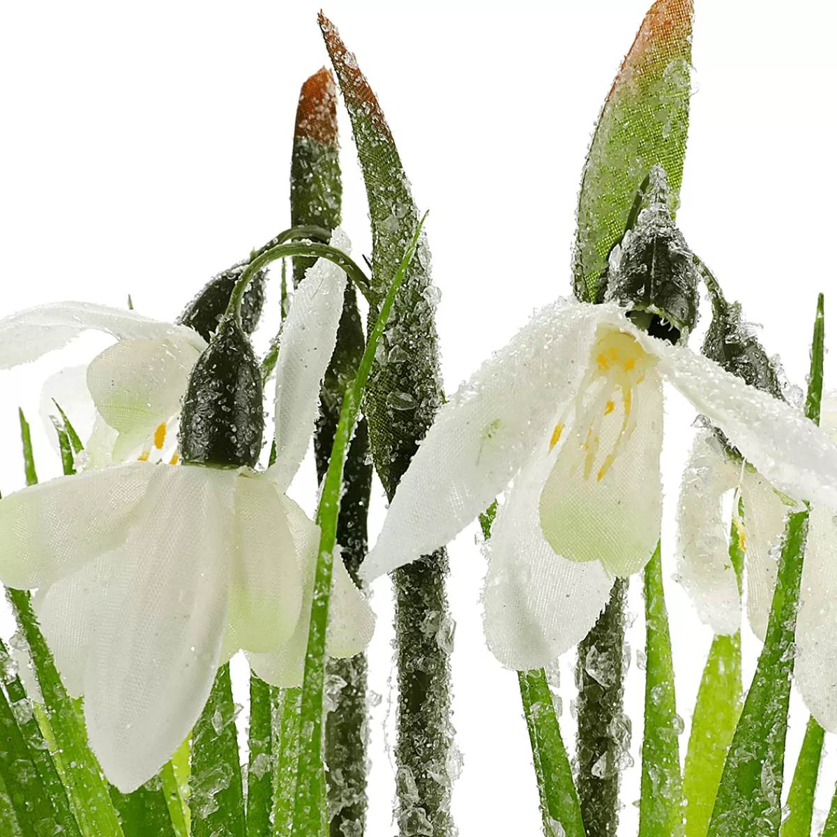 Hot DecoWoerner Kunstblume Schneeglöckchen Im Topf, 20 Cm Hoch weiß