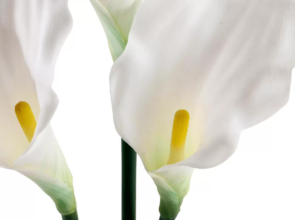 Best Sale DecoWoerner Kunstblumen-Bund-Calla 50 Cm weiß