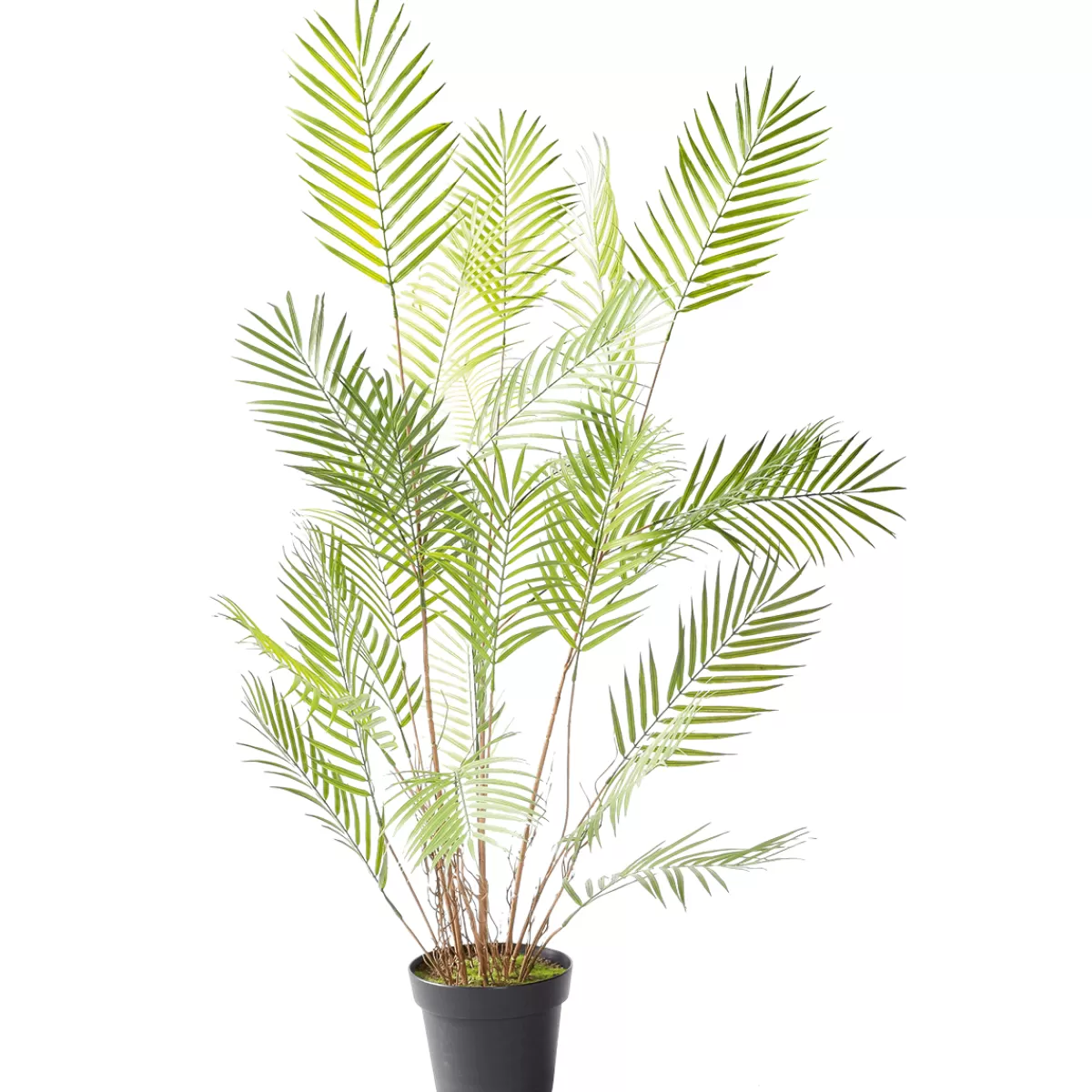 Outlet DecoWoerner Kunstpalme Areca Im Topf, 120 Cm grün