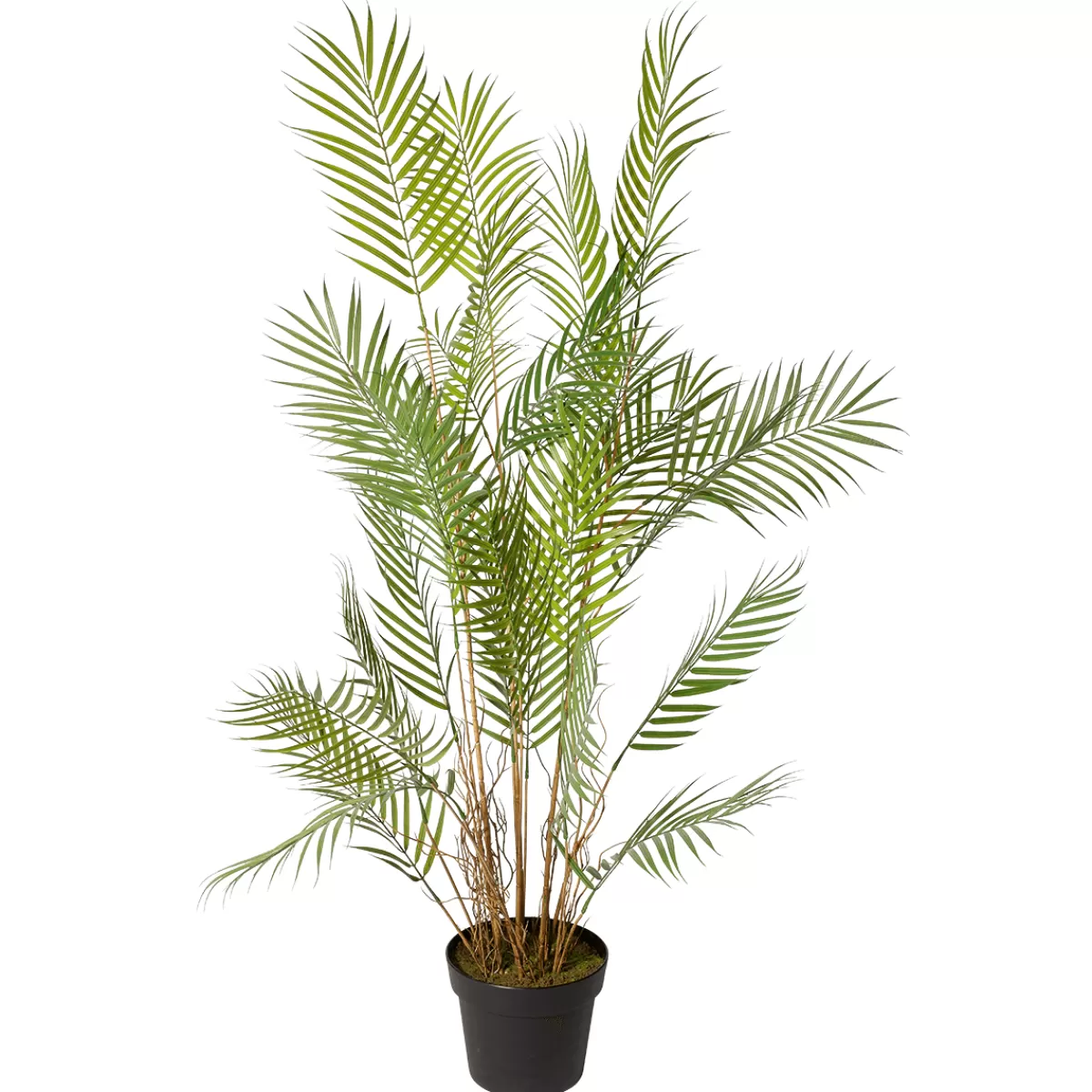 Outlet DecoWoerner Kunstpalme Areca Im Topf, 120 Cm grün