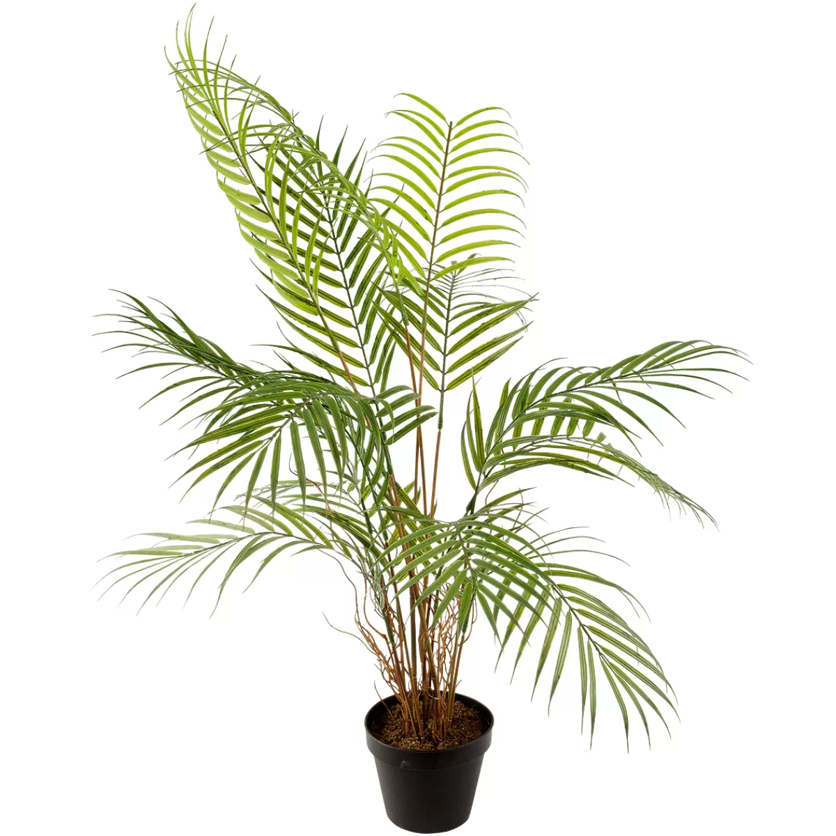 Sale DecoWoerner Kunstpalme Areca Im Topf, 80 Cm grün