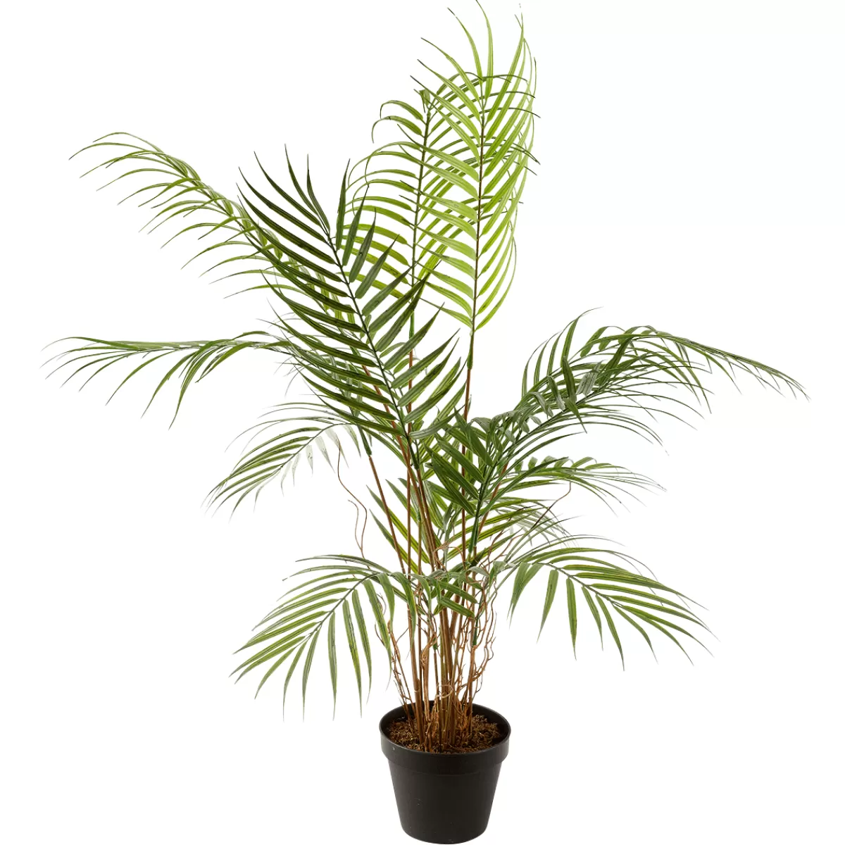 Sale DecoWoerner Kunstpalme Areca Im Topf, 80 Cm grün