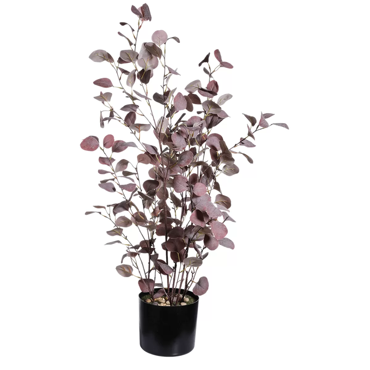 Shop DecoWoerner Kunstpflanze Eukalyptus Im Topf, 92 Cm violett