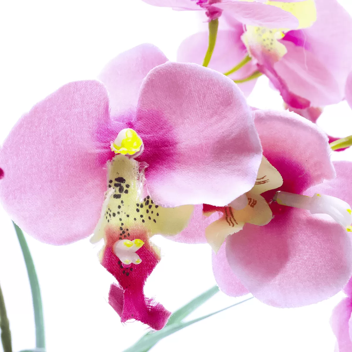 Best DecoWoerner Kunstpflanze Orchidee Im Topf , 28 Cm rosa