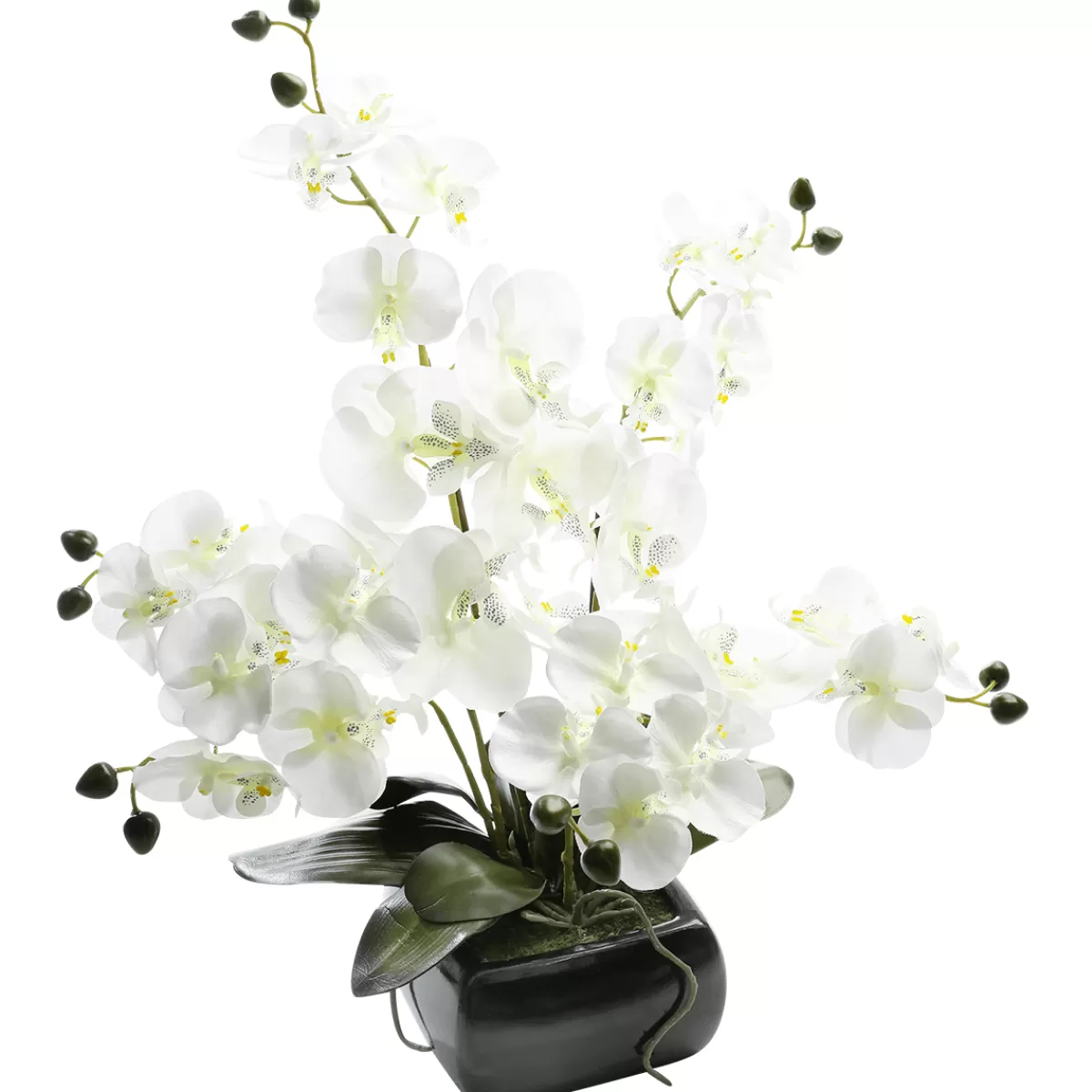 Online DecoWoerner Kunstpflanze Orchidee In Schale , 40 Cm weiß