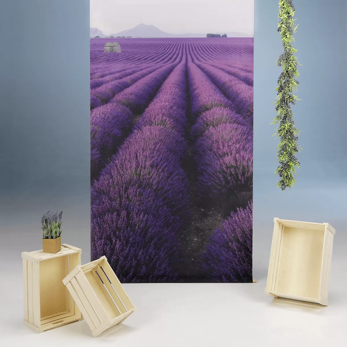 Shop DecoWoerner Lavendel Deko-Sparpaket Provence