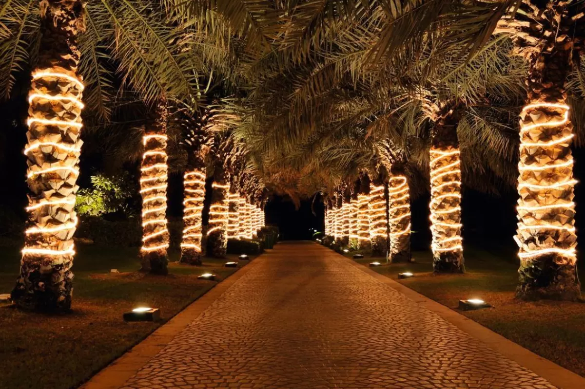 Outlet DecoWoerner Lichtschlauch Für Außenbeleuchtung, 44 M transparent