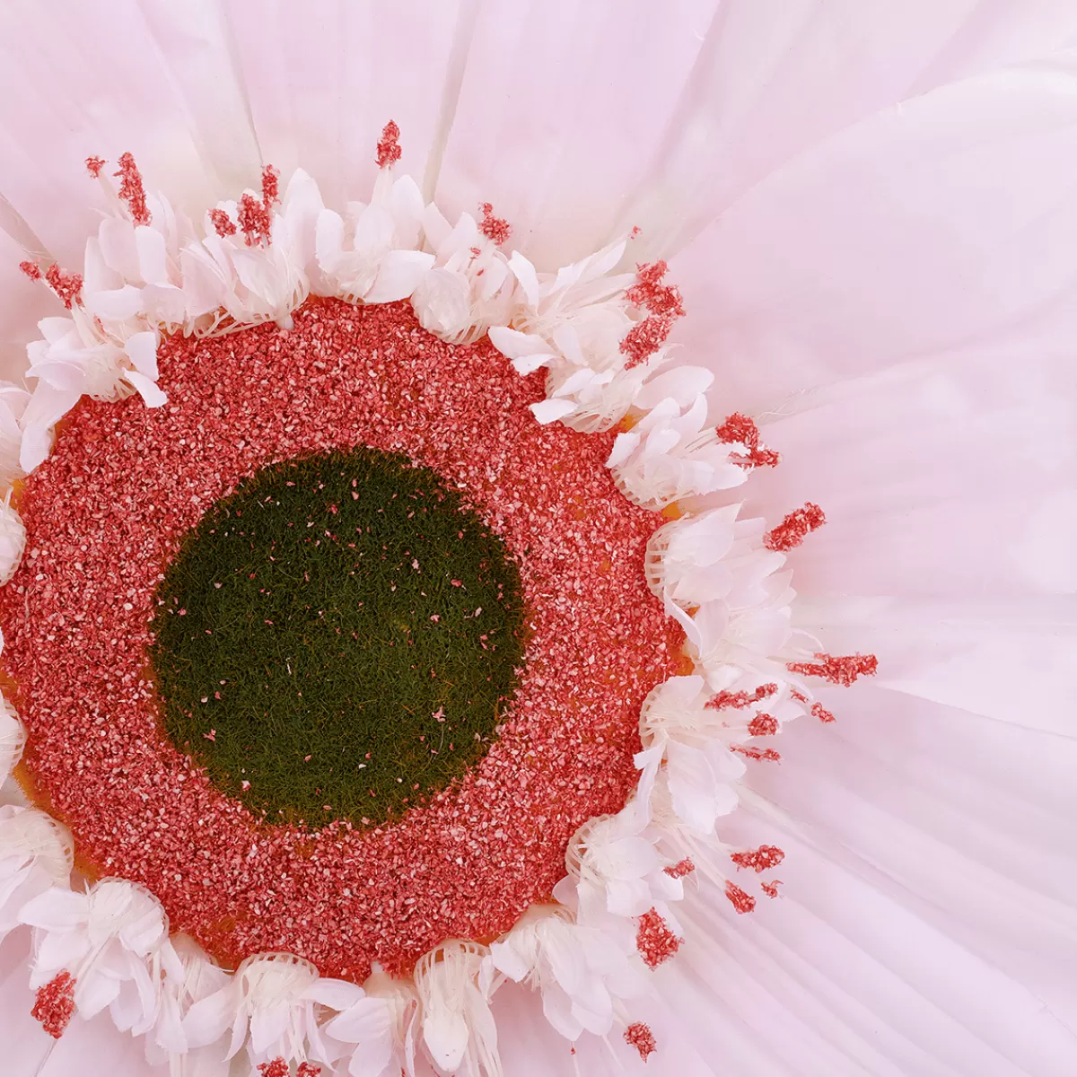 Hot DecoWoerner Riesen-Gerbera-Blüte, 45 Cm Ø, rosa