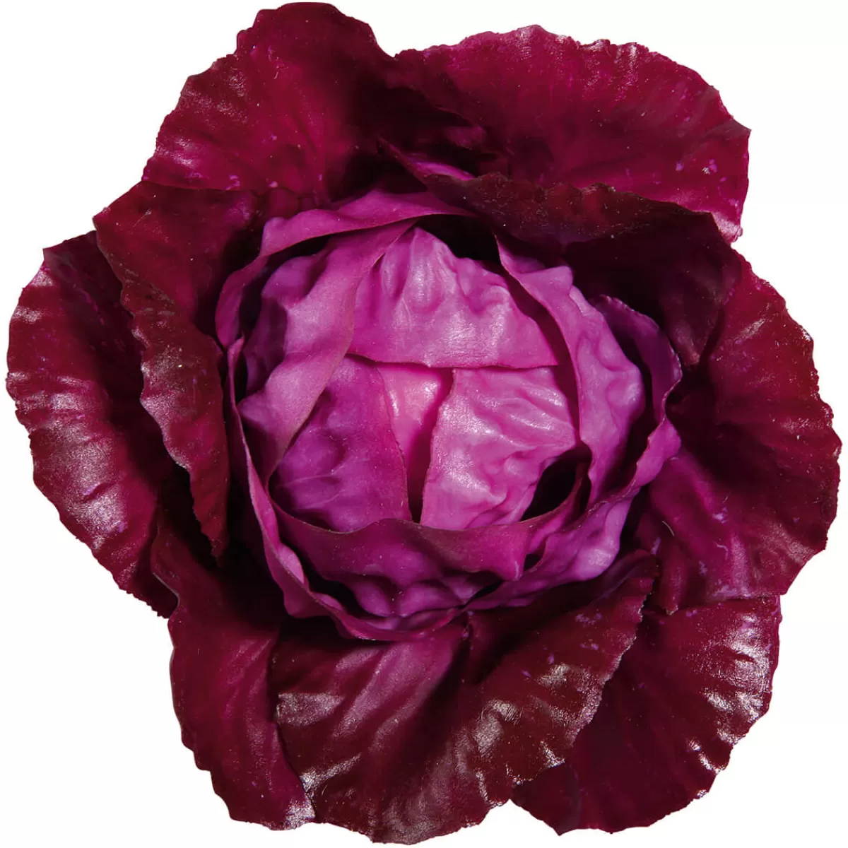 Outlet DecoWoerner Rotkohl Lebensmittel-Attrappe, 13 Cm Ø violett