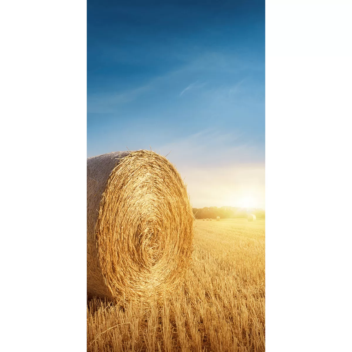 Cheap DecoWoerner Schwer Entflammbarer Stoffbanner „goldene Strohballen“ Aus Fahnenstoff 100 X 200 Cm gelb