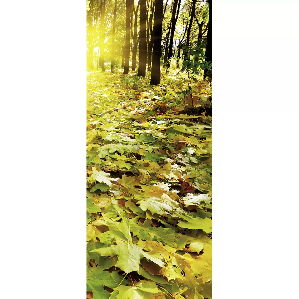 Flash Sale DecoWoerner Schwer Entflammbarer Stoffbanner "Herbstlaub Waldboden" 75 X 180 Cm