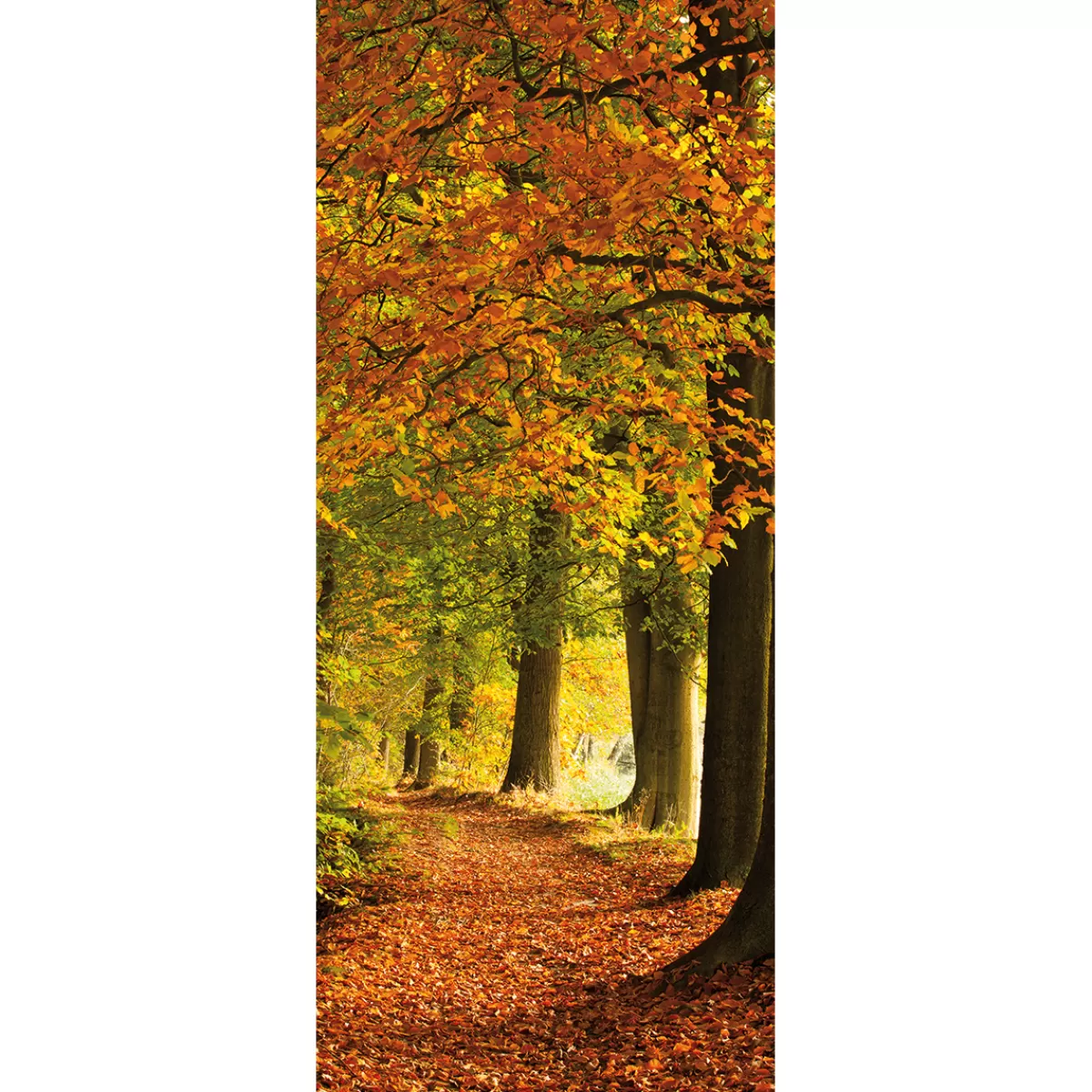 New DecoWoerner Schwer Entflammbarer Stoffbanner "Herbstwald" Aus Fahnenstoff 75 X 180 Cm orange