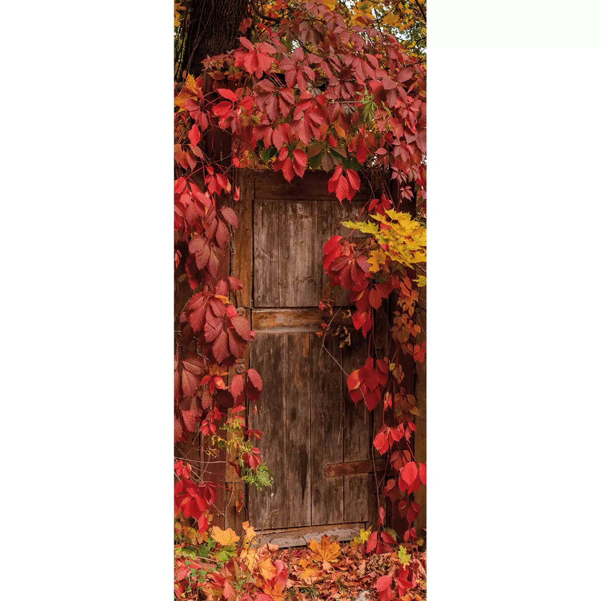 Hot DecoWoerner Schwer Entflammbarer Stoffbanner "Holztür Mit em Wein" Aus Fahnenstoff 75 X 180 Cm rot