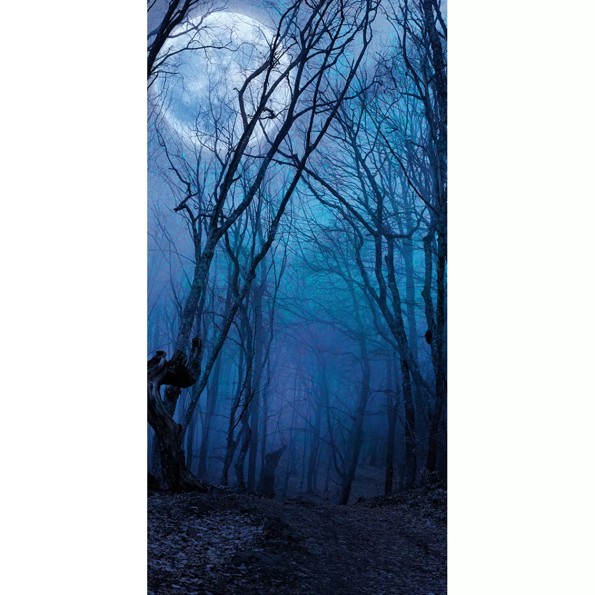 Flash Sale DecoWoerner Schwer Entflammbarer Stoffbanner "Nachtwald Bei Vollmond" Aus Fahnenstoff 100 X 200 Cm blau