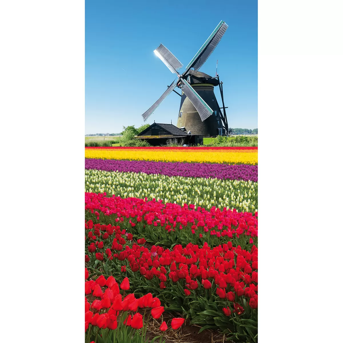Hot DecoWoerner Schwer Entflammbarer Stoffbanner „Windmühle Im Tulpenfeld“ Aus Fahnenstoff 100 X 200 Cm rot