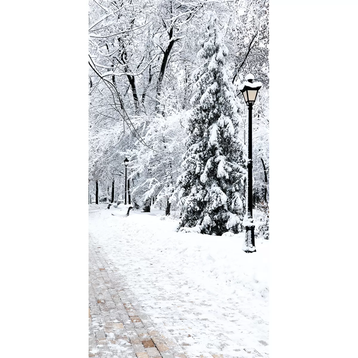 Flash Sale DecoWoerner Schwer Entflammbarer Stoffbanner "Winterpark" Aus Fahnenstoff 100 X 200 Cm weiß