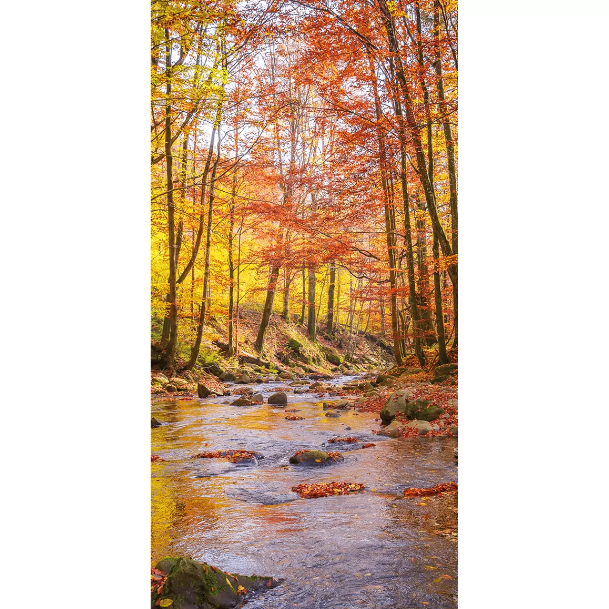 Online DecoWoerner Stoffbanner Bachlauf Herbst 100 X 200 Cm orange