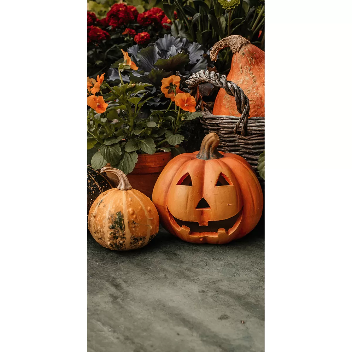 Clearance DecoWoerner Stoffbanner Kürbis Halloween 100 X 200 Cm orange