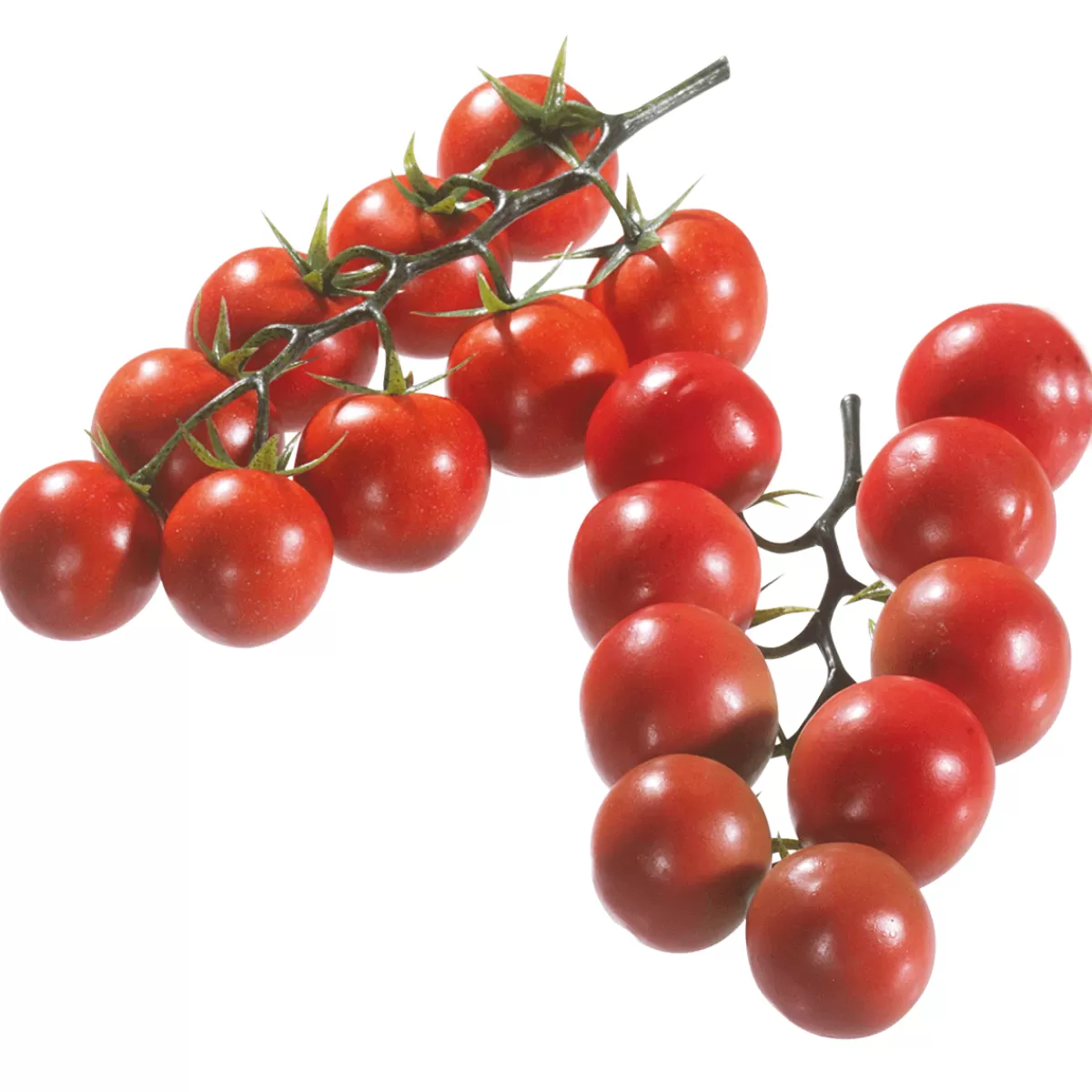 Best DecoWoerner Tomaten Rispen Lebensmittel-Attrappe, 2 Rispen rot