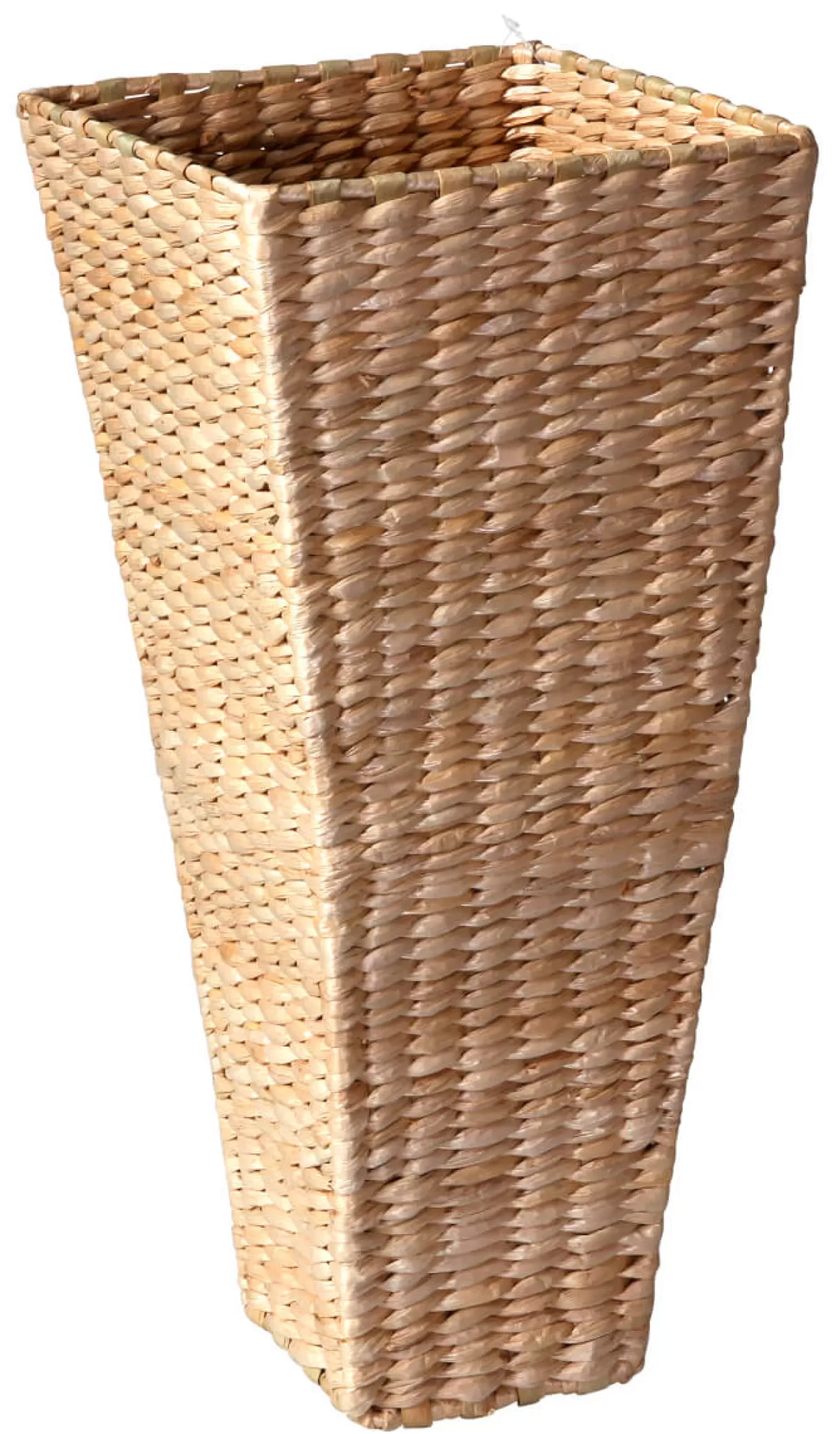 Outlet DecoWoerner Vase Wasserhyazinthe 42 Cm Beige