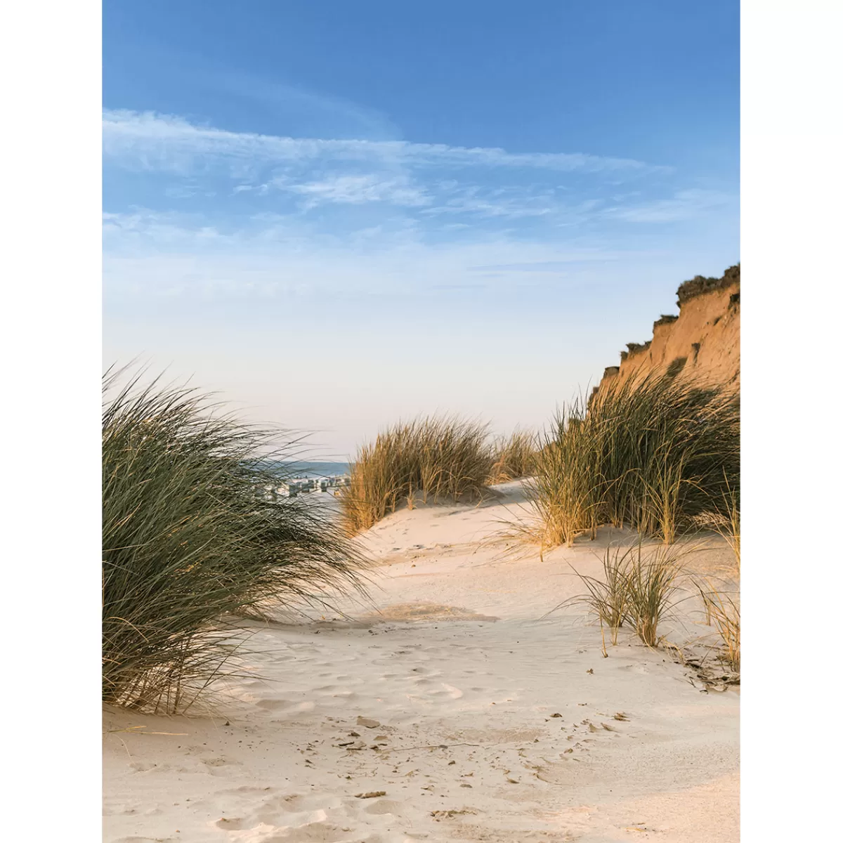 Flash Sale DecoWoerner XL-Stoffbanner "Stranddüne" Aus Schwer Entflammbarem Fahnenstoff 150 X 200 Cm blau