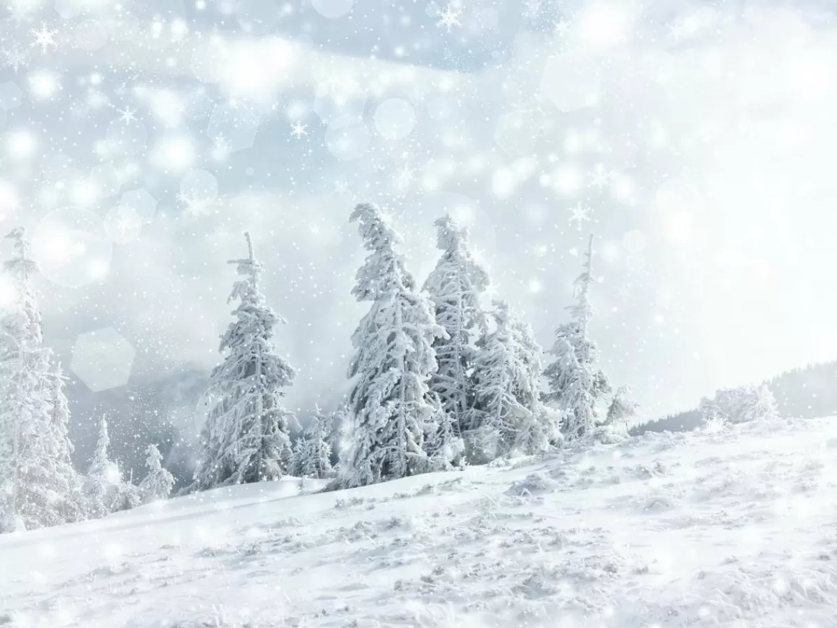 Cheap DecoWoerner XXL-Planenbanner "Schneelandschaft" Aus Schwer Entflammbarer LKW-Plane 250 X 330 Cm weiß