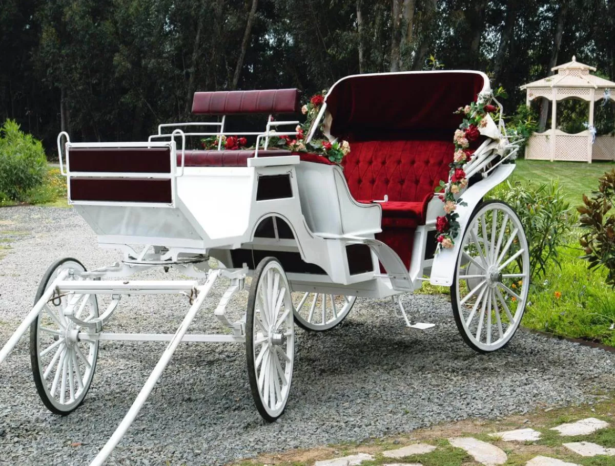 Online DecoWoerner XXL-Planenbanner "e Hochzeitskutsche" Aus Schwer Entflammbarer LKW-Plane 250 X 330 Cm weiß