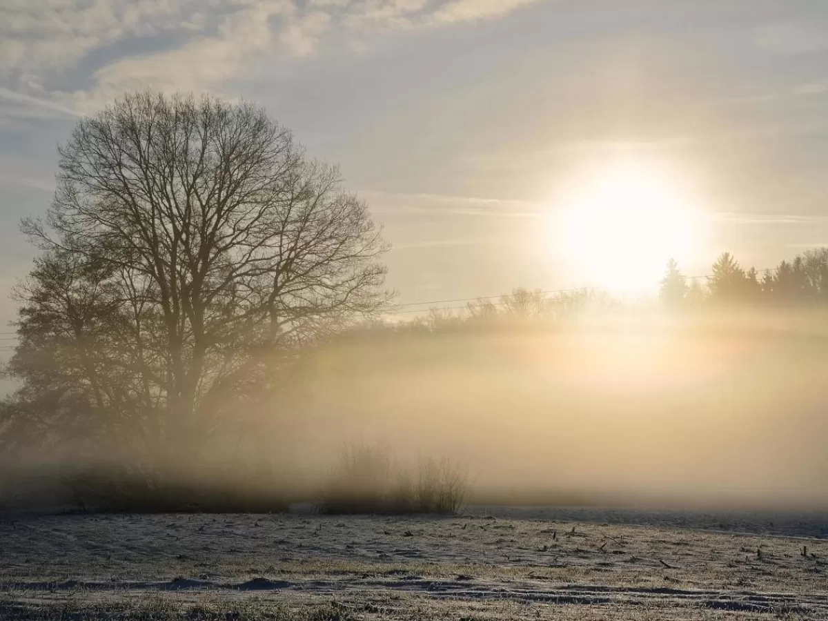 Online DecoWoerner XXL-Planenbanner "Winternebel" Aus Schwer Entflammbarer LKW-Plane 250 X 330 Cm Grau